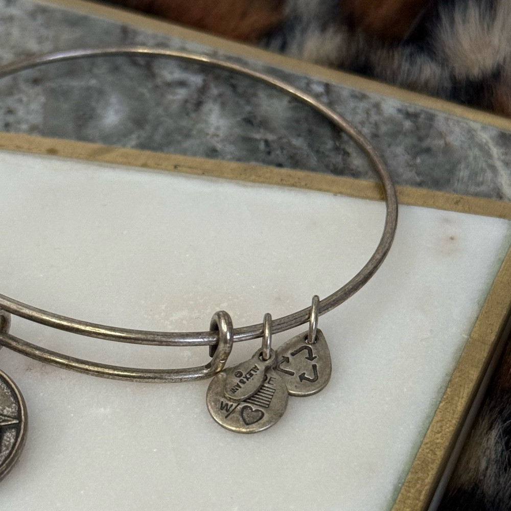 Alex and Ani NFL 2013 Eagles Charm Bracelet Bangle - Picture 3 of 7